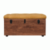 Buffalo Hide Honey Caramel Storage Trunk